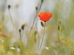 25 Jahre Weblication®